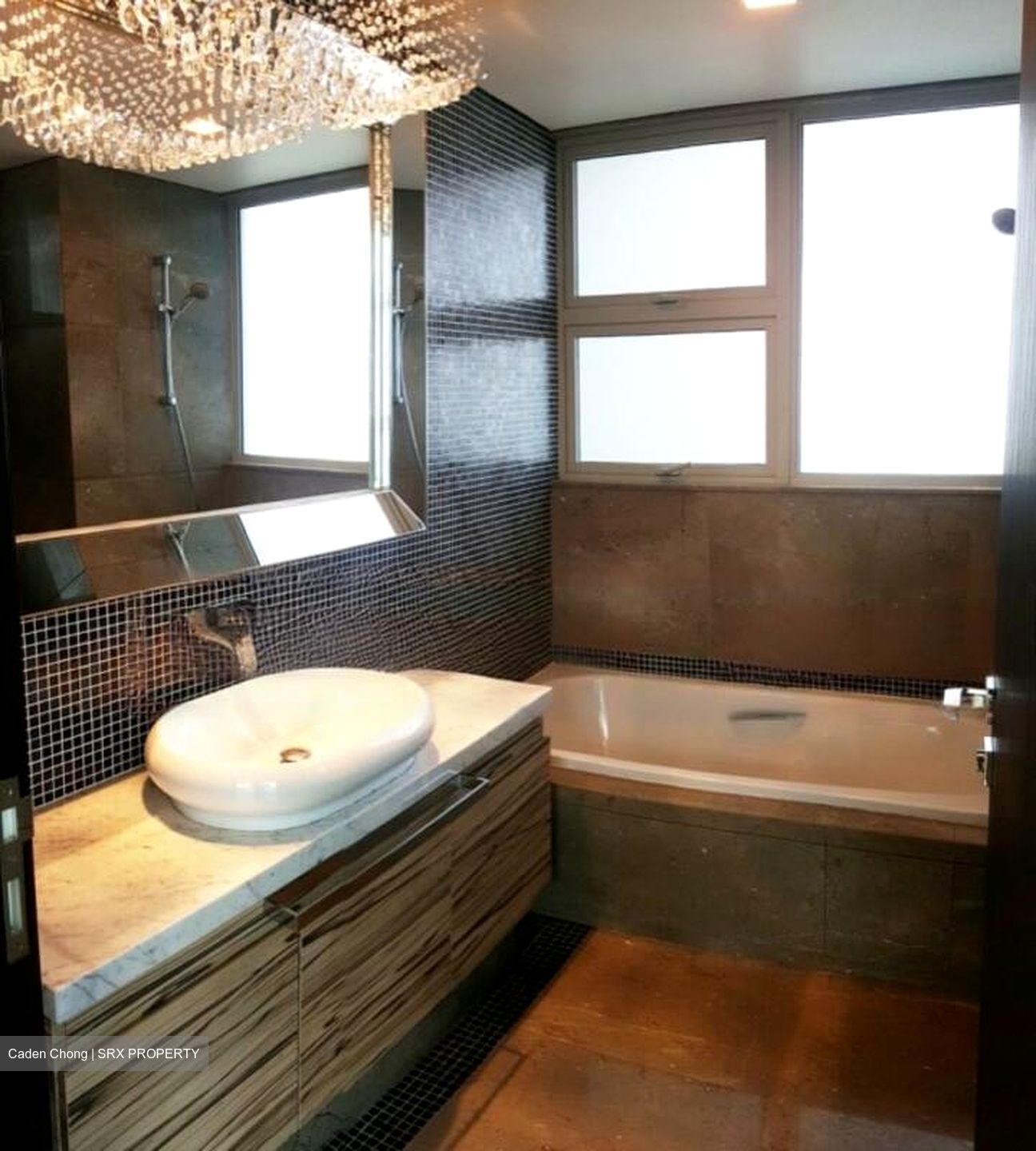 The Vision (D5), Condominium #579342021